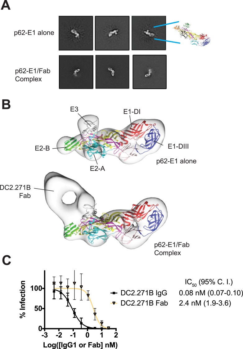 Fig 7