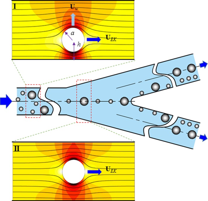 FIG. 2.