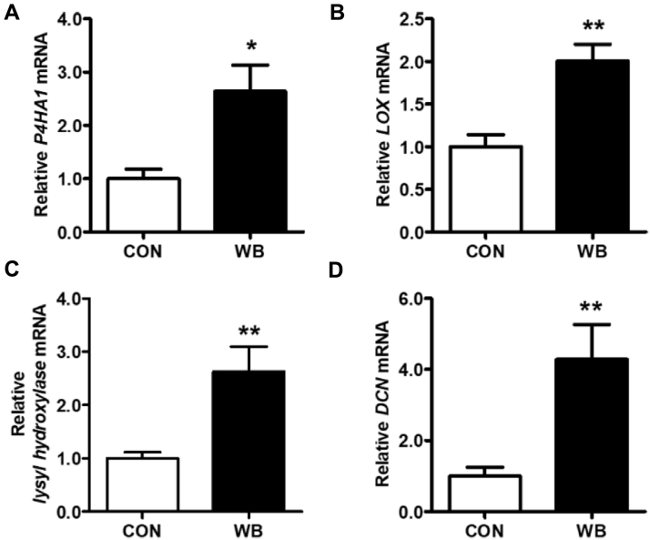 Figure 5