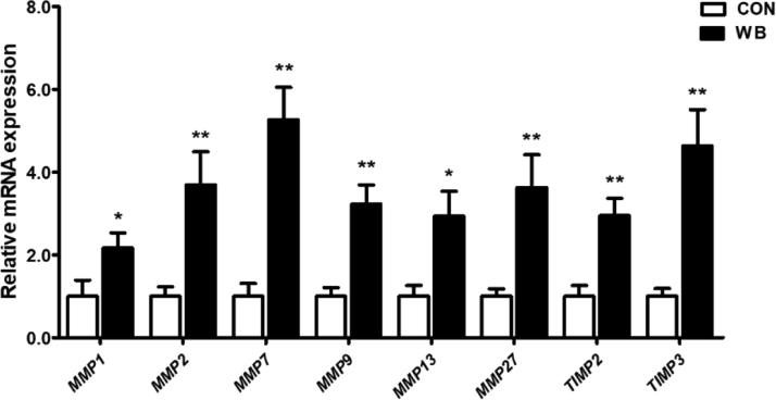 Figure 6