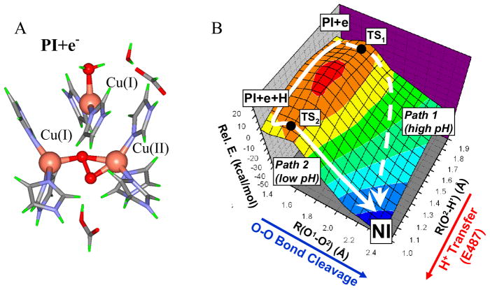 Figure 25