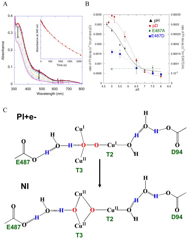 Figure 24