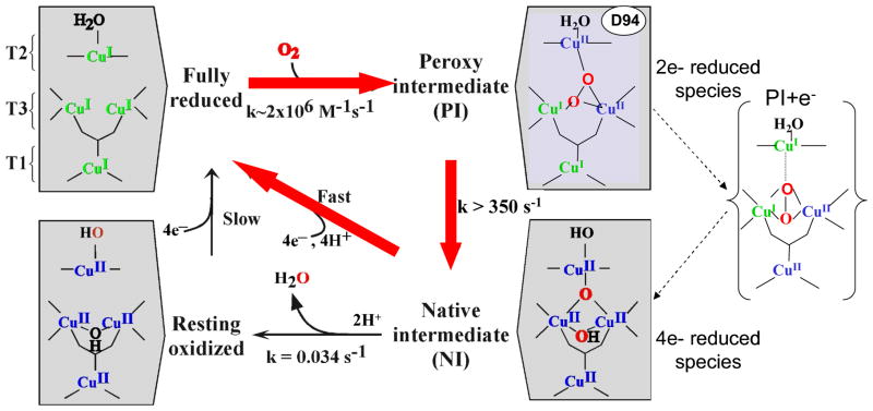 Figure 29