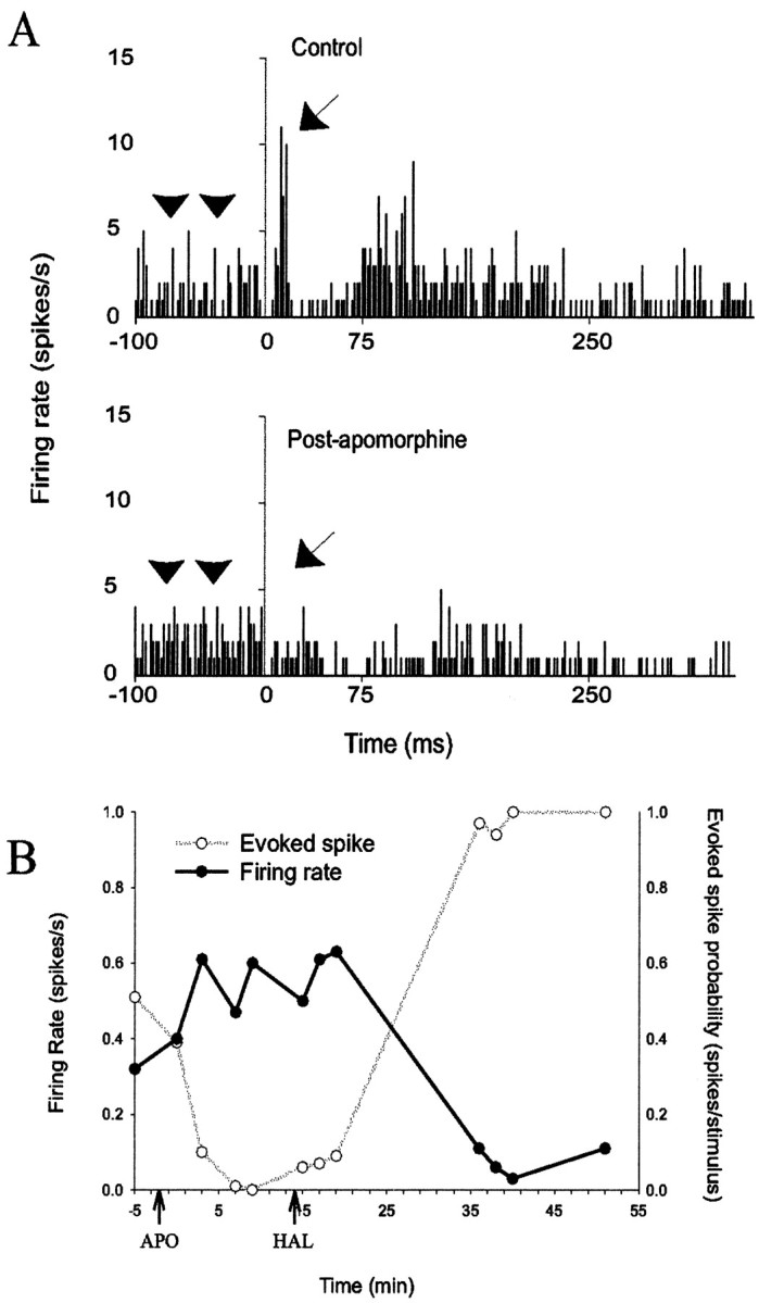 Fig. 9.