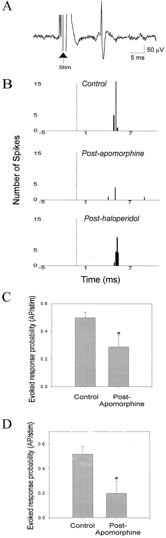 Fig. 8.