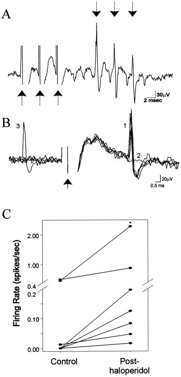 Fig. 3.