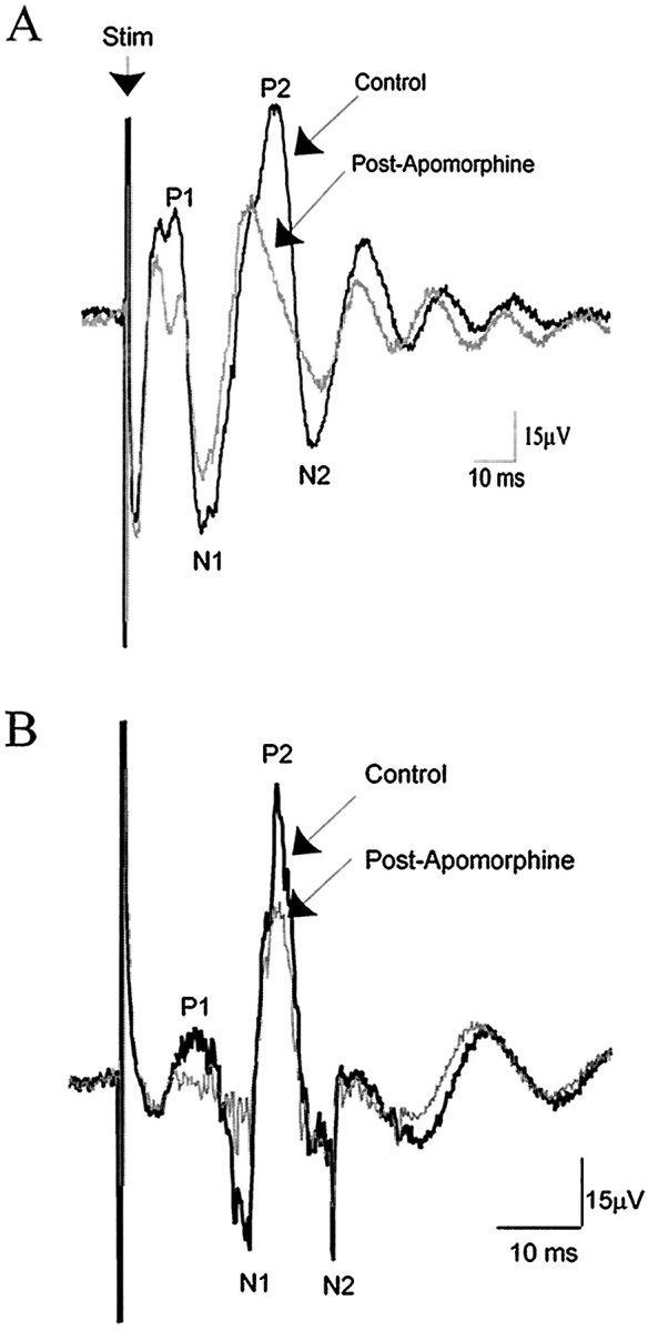 Fig. 11.