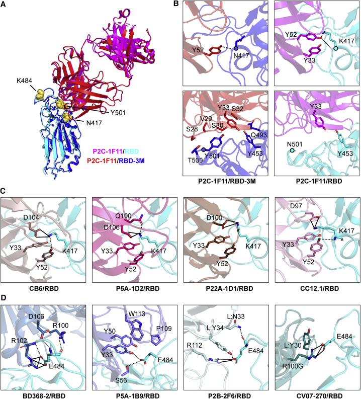 Figure 2