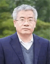 graphic file with name ADVS-12-e2416331-g018.gif