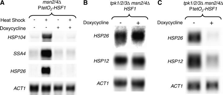 Figure 7.—