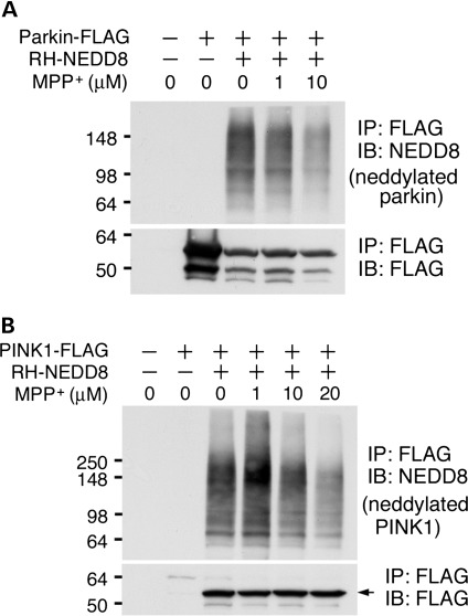 Figure 5.