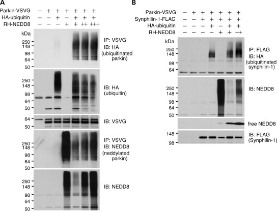 Figure 2.