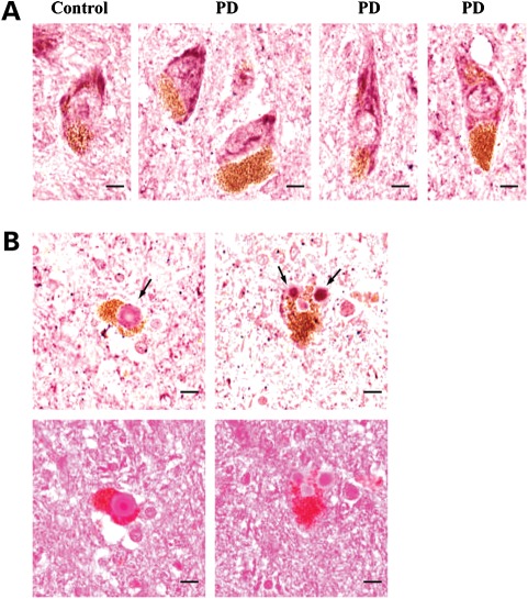 Figure 6.