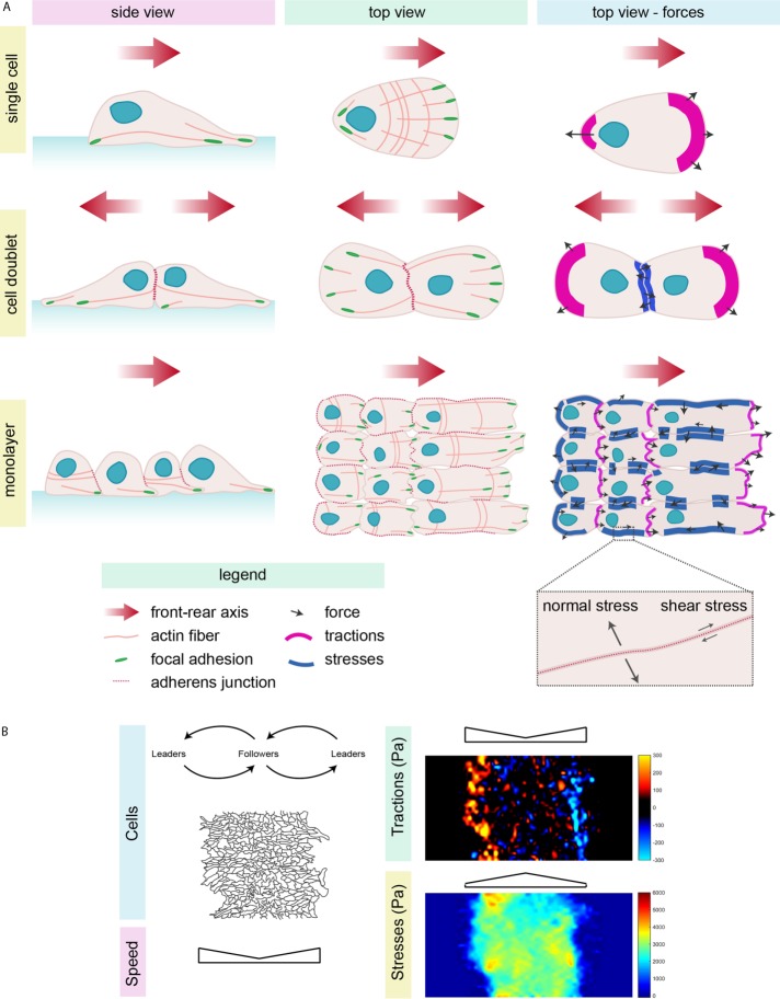 FIGURE 4: