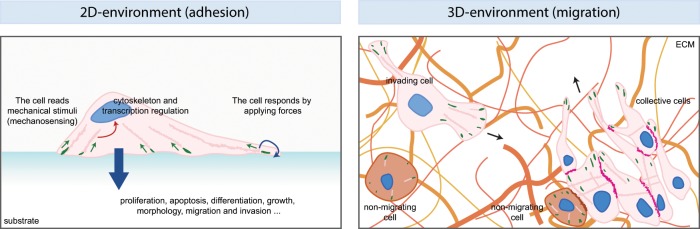 FIGURE 1: