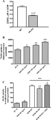 Figure 11.