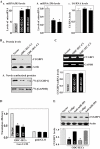 FIGURE 6: