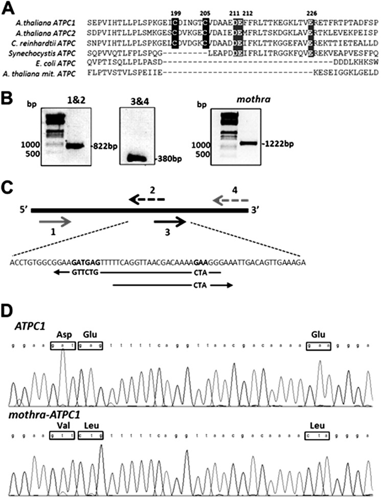 FIGURE 1.