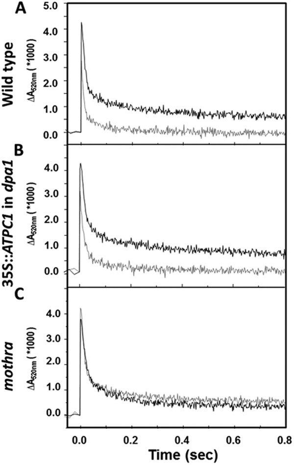 FIGURE 3.