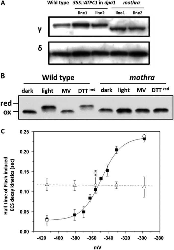 FIGURE 4.