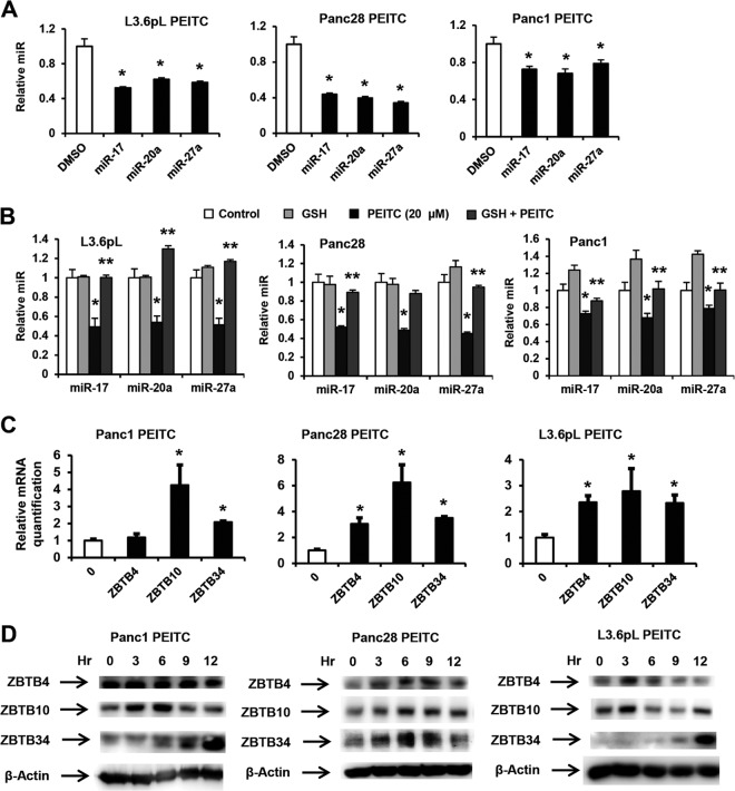 FIG 6