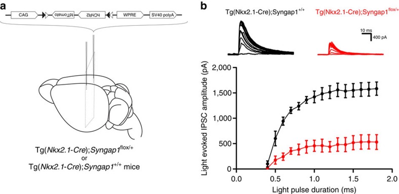 Figure 5