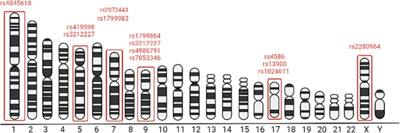 Figure 2