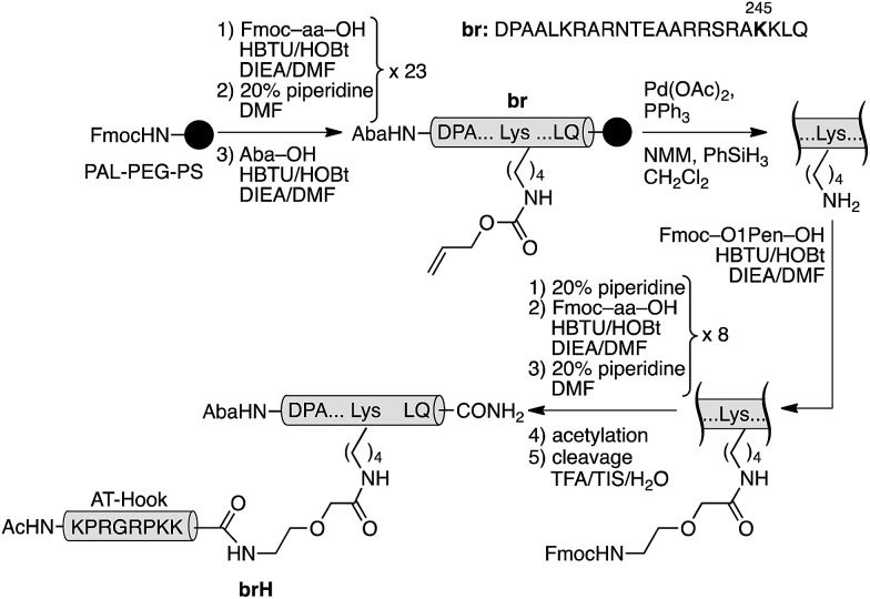 Scheme 1