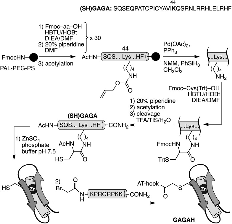 Scheme 2