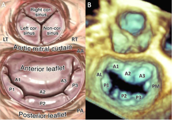Figure 1: