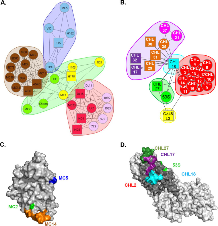 FIG 1