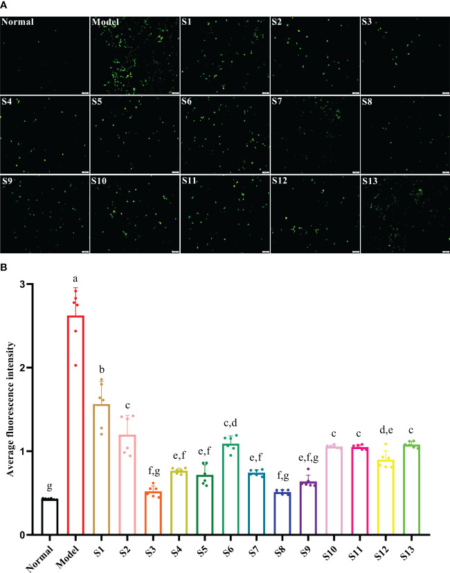 Figure 3