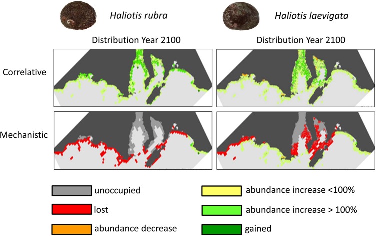 Figure 4: