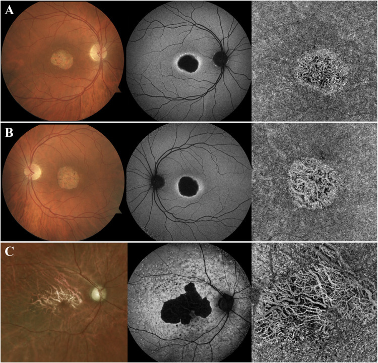 Figure 3.