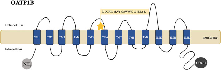 FIGURE 3