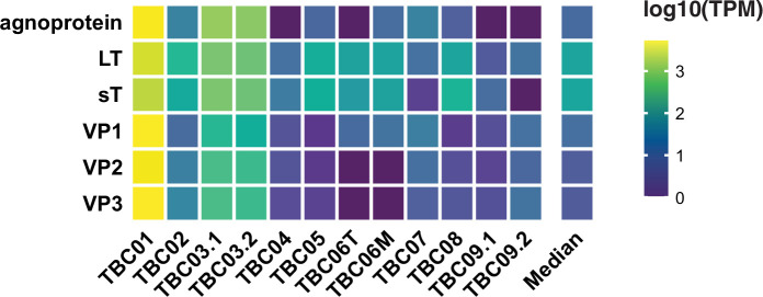 Figure 3—figure supplement 1.