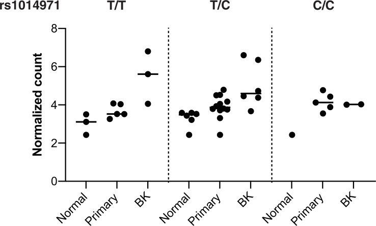 Figure 4—figure supplement 1.