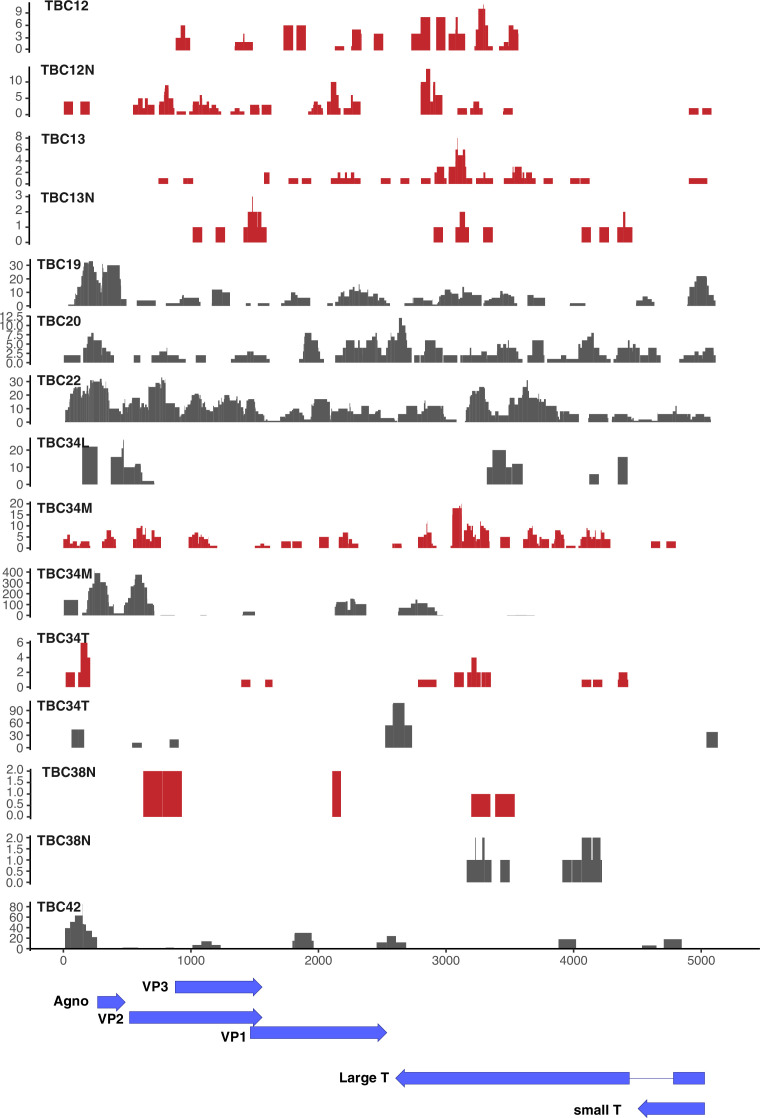 Figure 1—figure supplement 2.