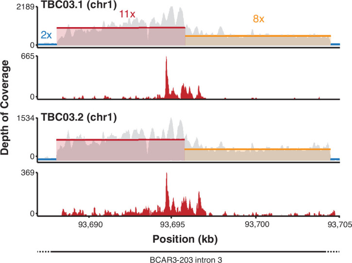 Figure 4—figure supplement 2.