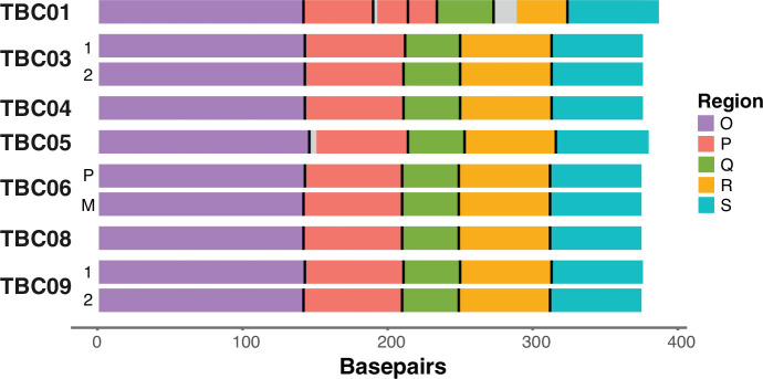 Figure 3—figure supplement 2.