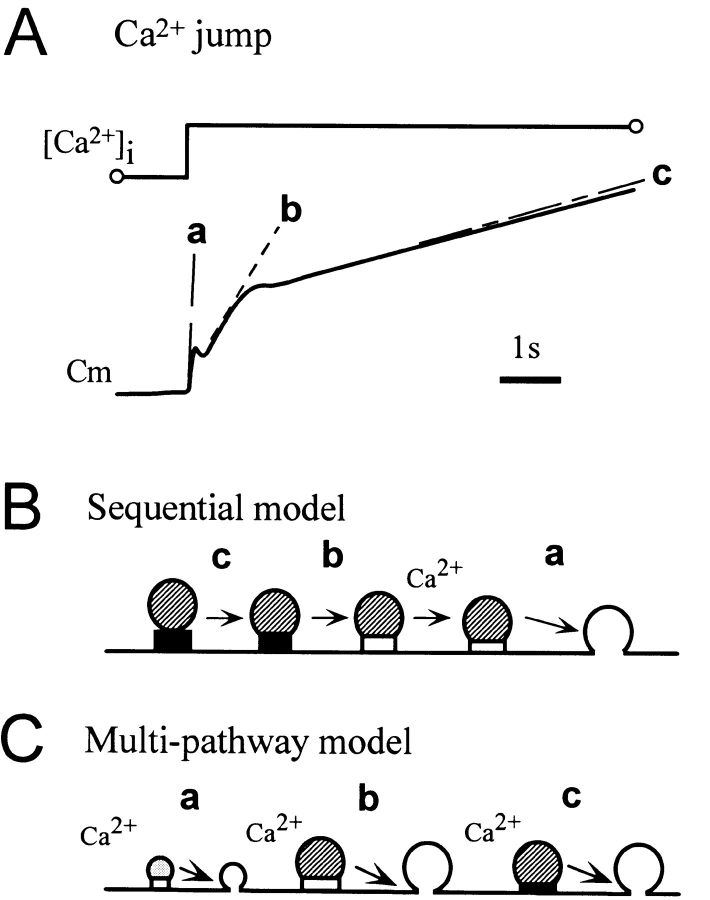 Figure 8