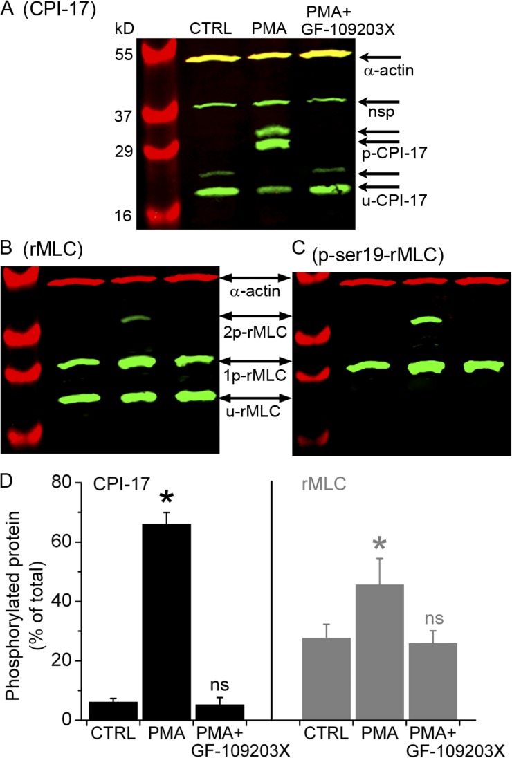 Figure 9.