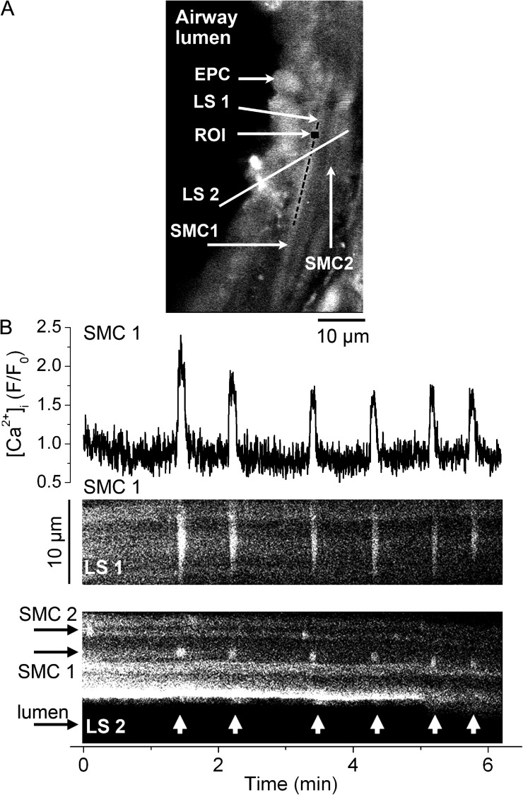 Figure 2.