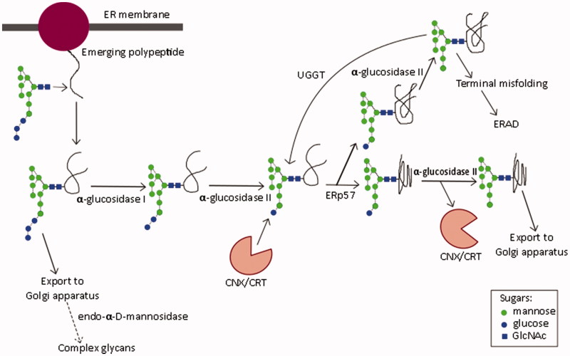 Figure 3.