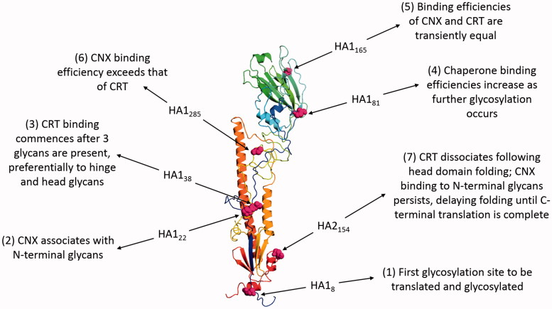 Figure 4.