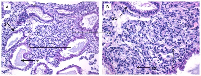 Figure 3.