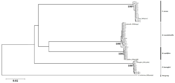 Figure 7