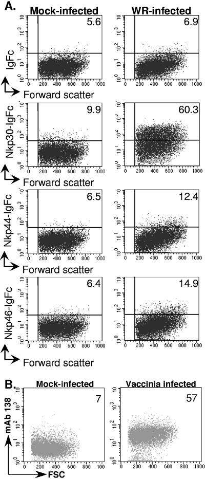 FIG. 7.