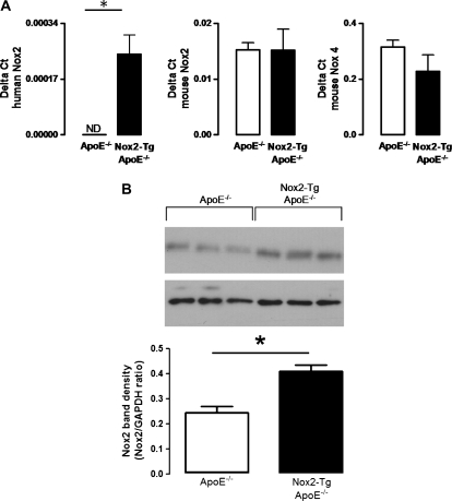 Figure 1