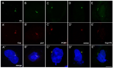 Fig. 10.